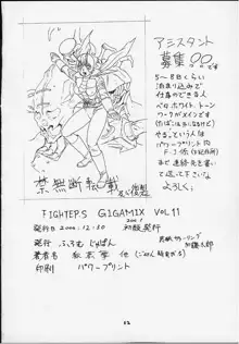 FIGHTERS GIGAMIX FGM Vol.11, 日本語