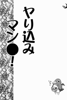 ヤり込みマン●, 日本語