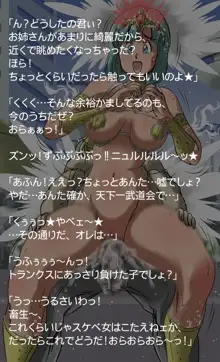 サンバdeドラゴンカーニバル, 日本語