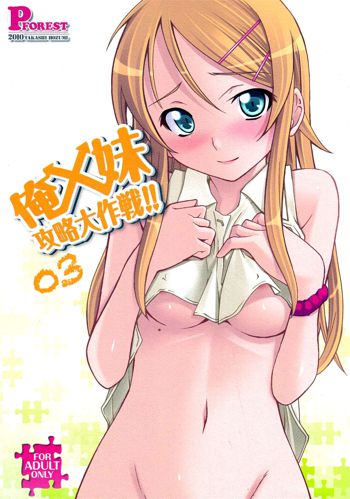 Ore x Imouto Kouryaku Daisakusen!! 03, English