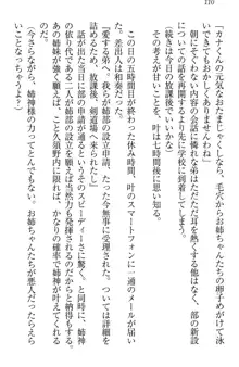 お姉ちゃんには逆らえない!, 日本語