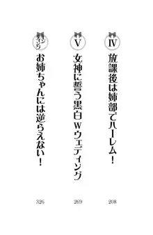 お姉ちゃんには逆らえない!, 日本語