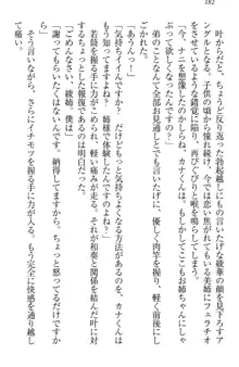 お姉ちゃんには逆らえない!, 日本語