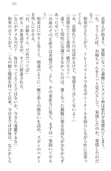 お姉ちゃんには逆らえない!, 日本語