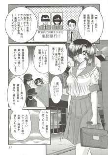 精霊特捜フェアリィセイバーW セーラー服とナース, 日本語