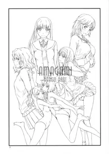 AMAGAMI ~HAREM ROOT, 中文