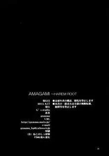 AMAGAMI ~HAREM ROOT, 中文