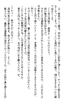 アスモデウス・オンライン -ファンタジー空間で兄は妹を孕ませる-, 日本語