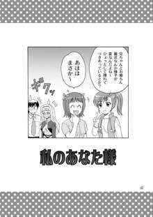 私のあなた様, 日本語