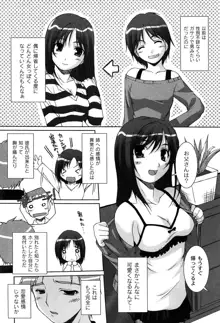 アイドル恥辱パーク, 日本語