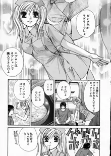 制服してください, 日本語