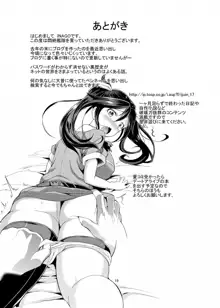 悶絶艦隊 妙○四姉妹, 日本語