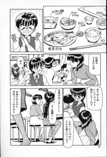 ひなちゃんのアルバイト日記, 日本語