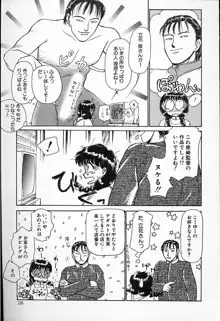 ひなちゃんのアルバイト日記, 日本語