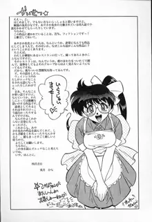 ひなちゃんのアルバイト日記, 日本語