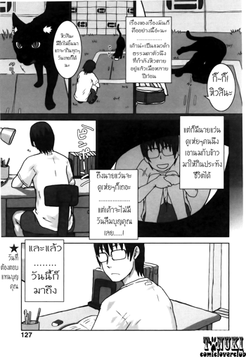 Neko ga Ongaeshi?, ไทย