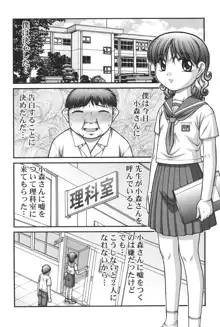 大人のおもちゃ, 日本語