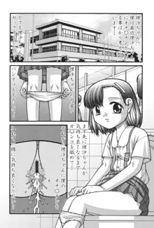 大人のおもちゃ, 日本語