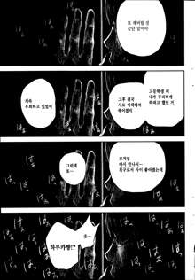 Netoraserare Ch. 12, 한국어