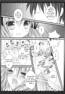 Imouto no Flandre ga Twintail ni shite Onii-chan ni Anna koto ya Konna koto | 여동생인 플랑드르가 트윈테일을 하고서 오빠에게 이런일이나 저런일을, 한국어