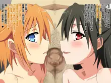 Akogare no Ano Shitsuji to Ojou-sama wa Boku no Chinkasu Soujiki, 中文