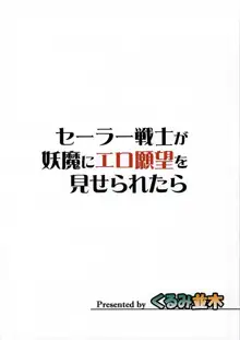 セーラー戦士が妖魔にエロ願望を見せられたら, 日本語