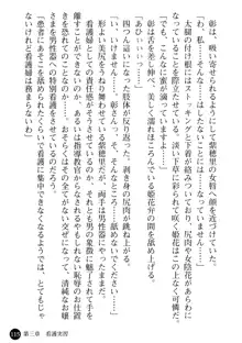 看護婦姉妹と令嬢実習生 魅惑の入院体験, 日本語