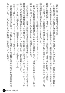 看護婦姉妹と令嬢実習生 魅惑の入院体験, 日本語