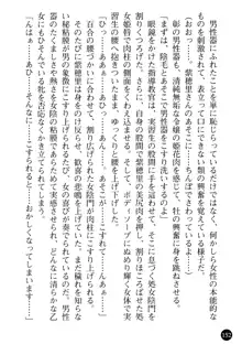 看護婦姉妹と令嬢実習生 魅惑の入院体験, 日本語