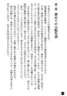 看護婦姉妹と令嬢実習生 魅惑の入院体験, 日本語