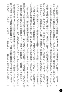 看護婦姉妹と令嬢実習生 魅惑の入院体験, 日本語