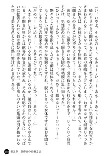 看護婦姉妹と令嬢実習生 魅惑の入院体験, 日本語