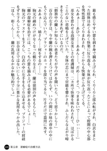 看護婦姉妹と令嬢実習生 魅惑の入院体験, 日本語