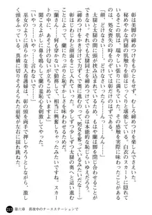 看護婦姉妹と令嬢実習生 魅惑の入院体験, 日本語