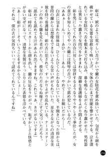 看護婦姉妹と令嬢実習生 魅惑の入院体験, 日本語