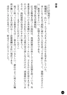 看護婦姉妹と令嬢実習生 魅惑の入院体験, 日本語