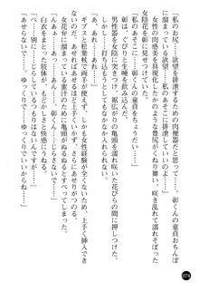 看護婦姉妹と令嬢実習生 魅惑の入院体験, 日本語