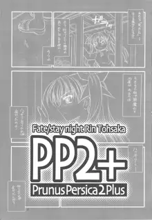 PP2+ Prunus Persica 2 Plus, 日本語