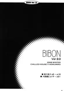 BIBON Vol 2.0, 日本語