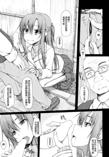 SLAVE ASUNA ONLINE 3, 中文