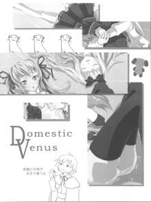 Domestic Venus, 日本語