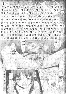 Ochizuma Alice Ch. 1, 한국어