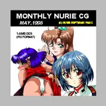 NURIE CD-R PERFECT COLLECTION VER.1.11, 日本語