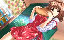 Lovers CG Pack 1, 日本語