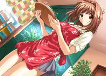 Lovers CG Pack 2, 日本語