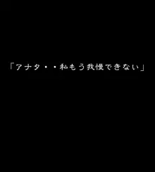 友達のお母さん秘密の関係, 日本語