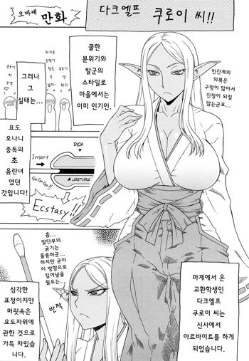 Dark Elf Kuroi-san, 한국어