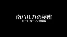 わーいわーい。~REMAKE EDITION~, 日本語