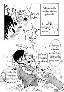 Natsu no Yoru no Yume, ไทย