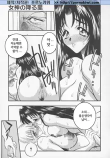 Megami no Furu Sato Ch. 1-5, 한국어